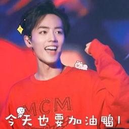 肖战表情包带字,字里行间展现的青春魅力