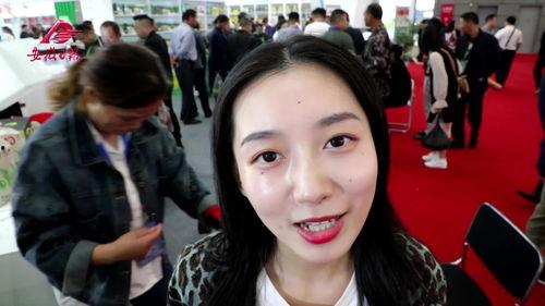 明星合成资源网,打造个性化明星体验，解锁无限创意空间